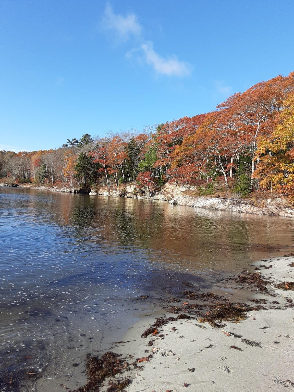 Sandee - Cushman's Beach