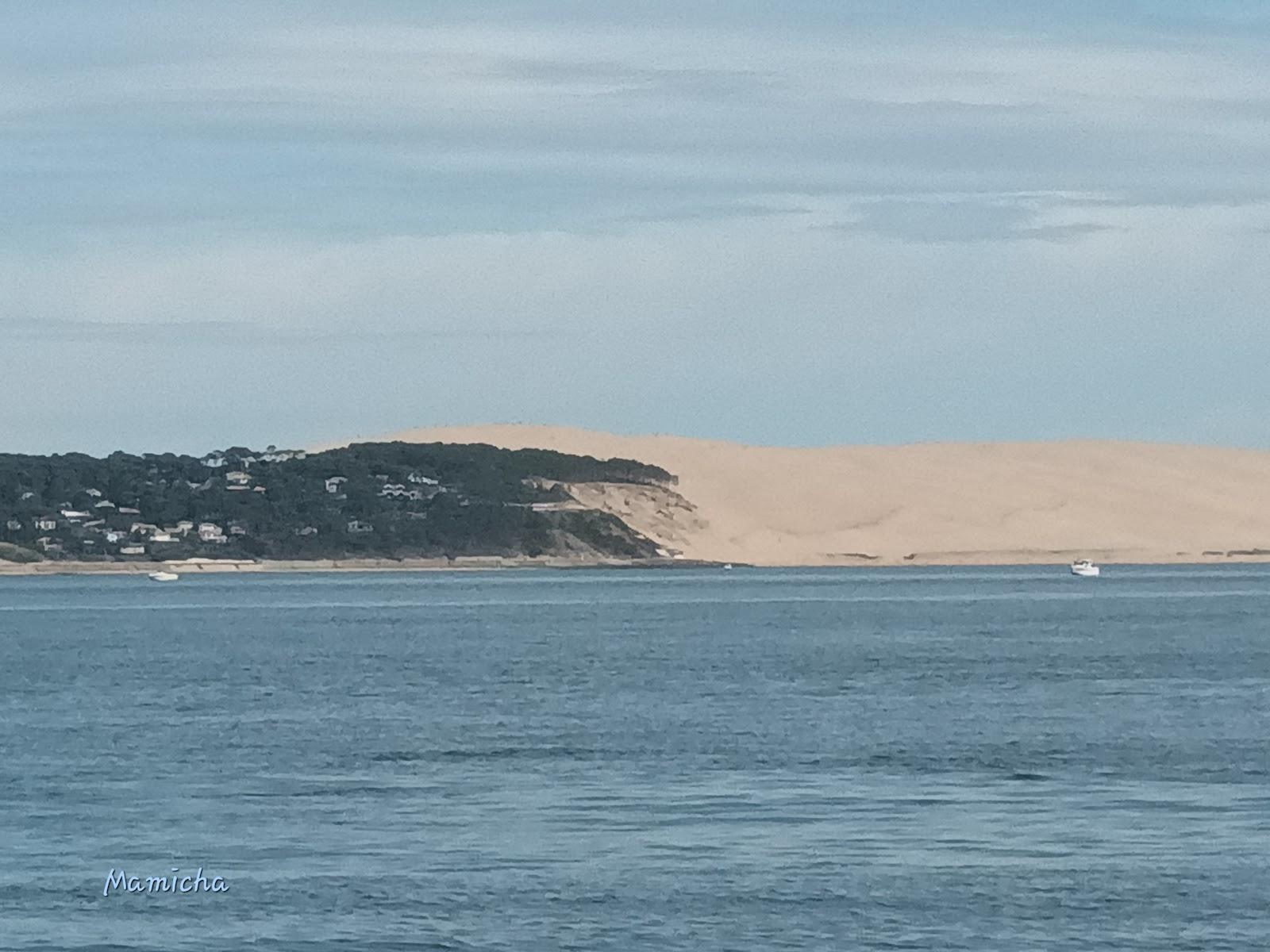 Sandee Plage Des Courlis