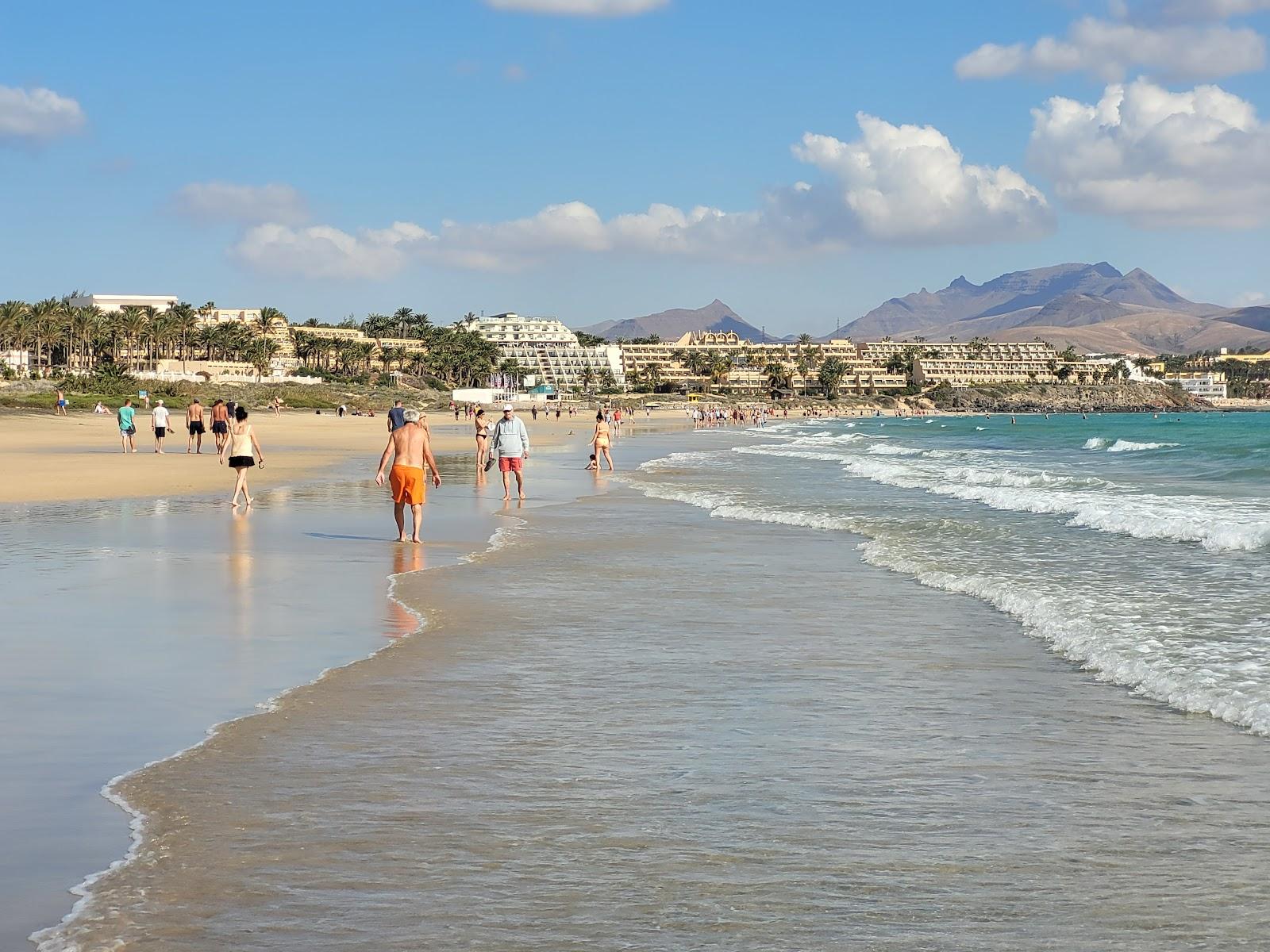 Sandee Costa Calma Beach