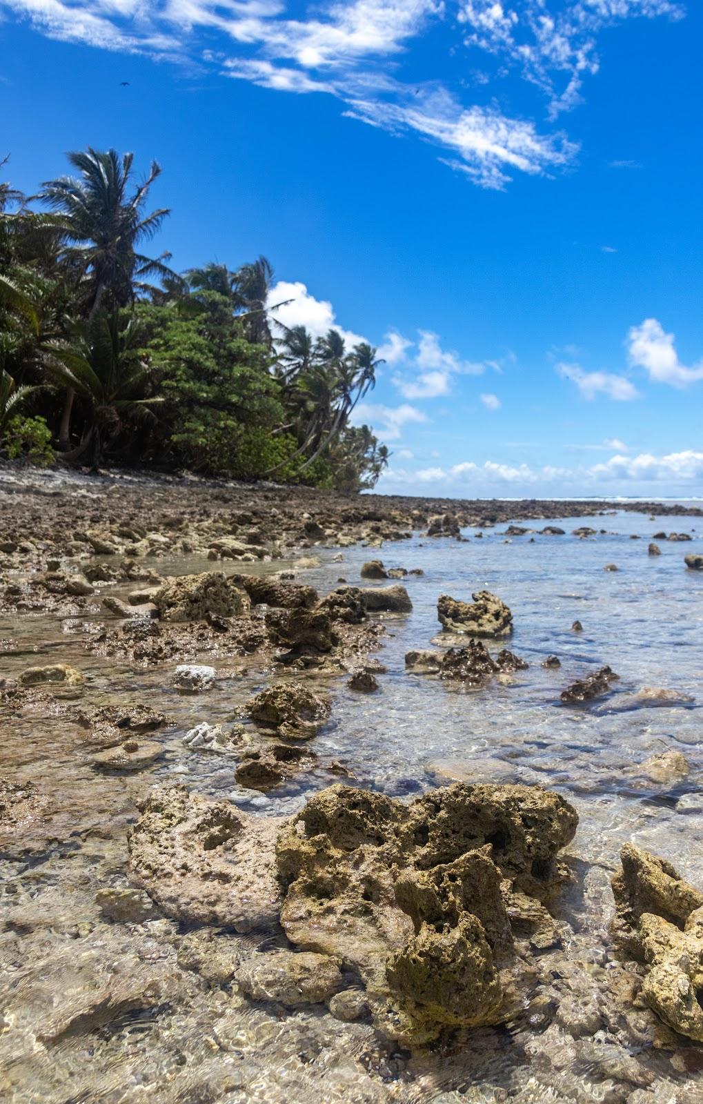 Sandee - Eneko Island Beach