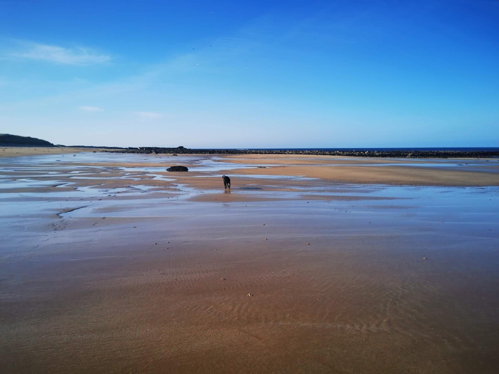 Sandee St Combs Beach Photo