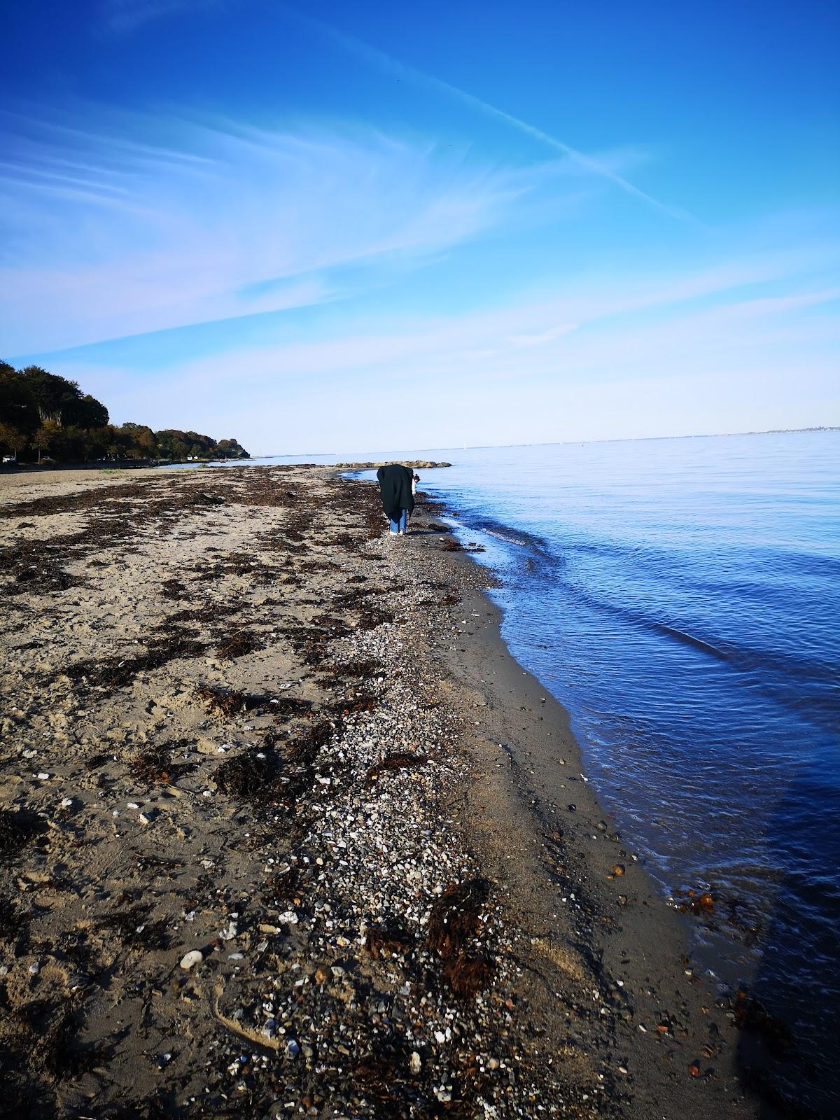 Sandee Skodsborg Strand Photo