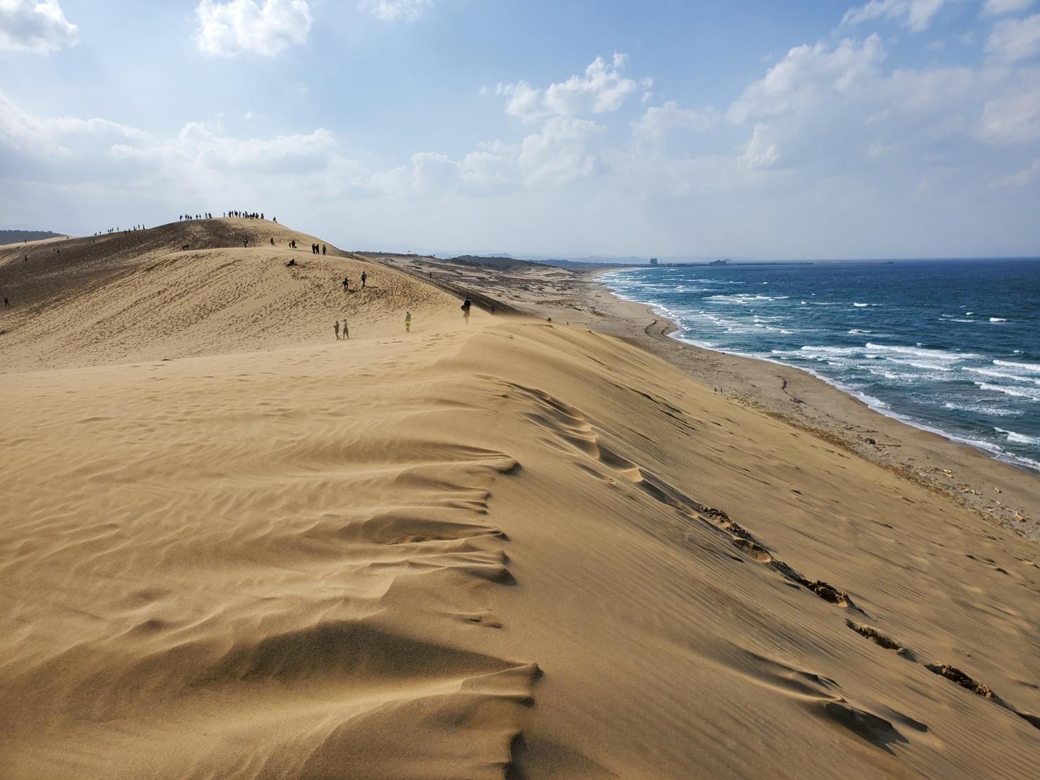 Sandee Sane Dune Coast