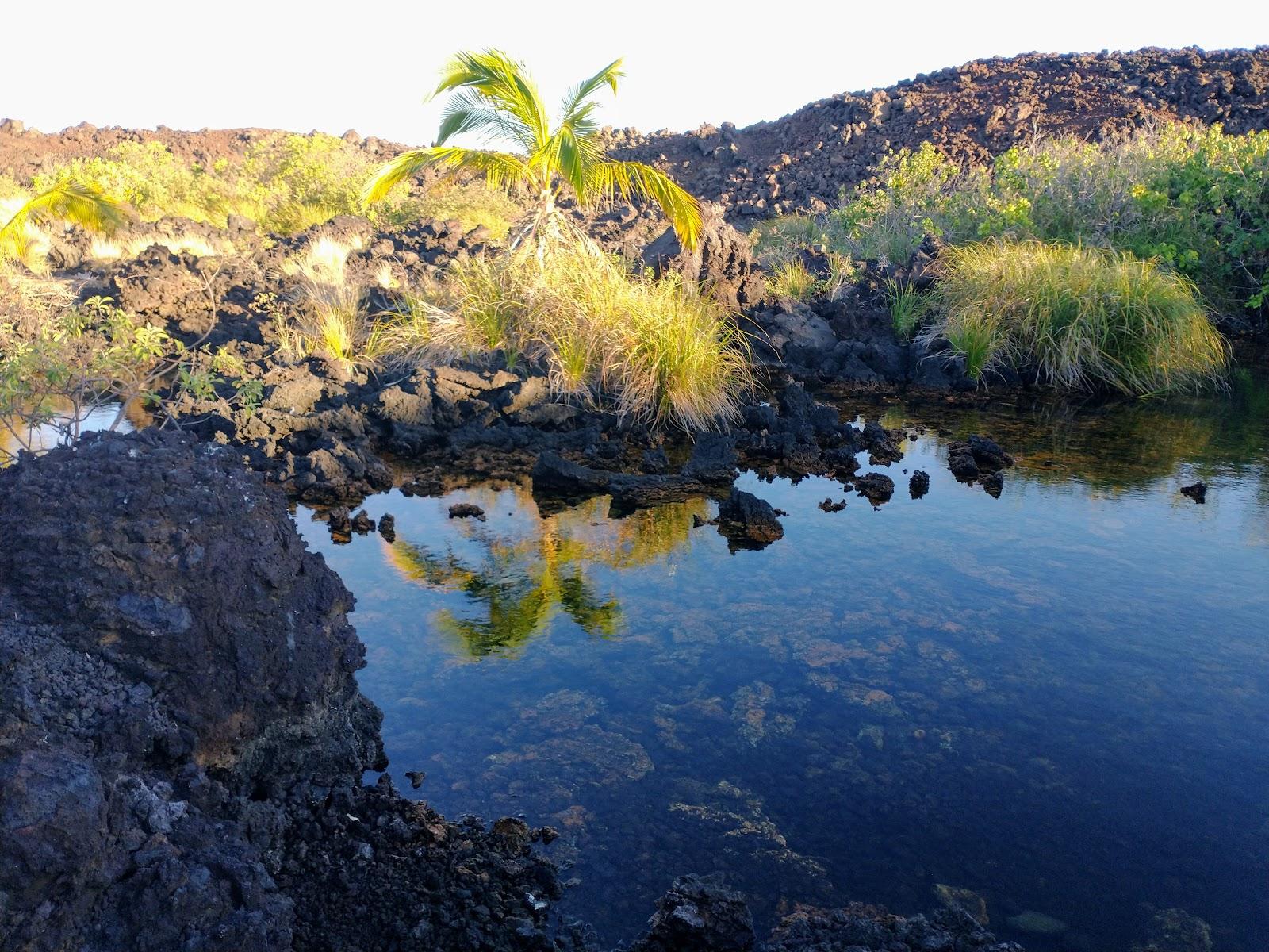 Sandee - Keawaiki