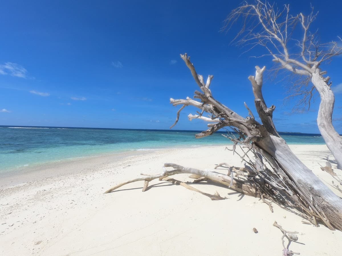 Sandee Anboa Fannu Beach Photo