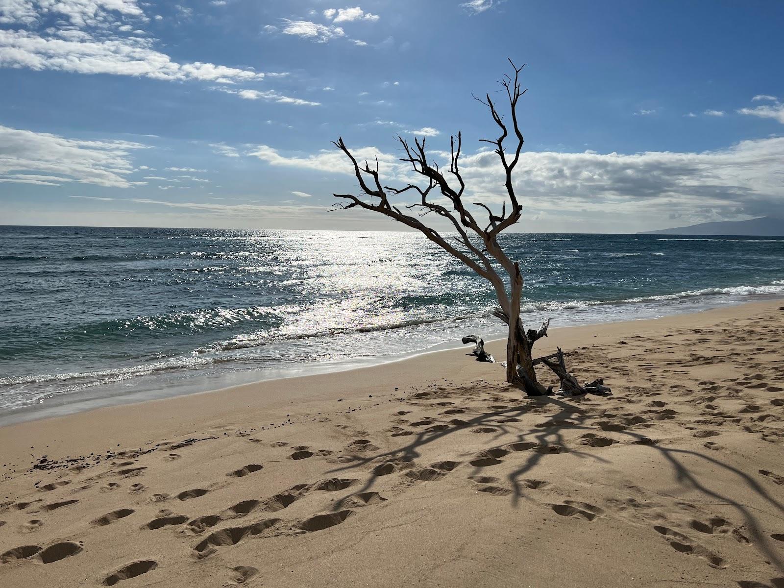 Sandee - Ukumehame Beach Park