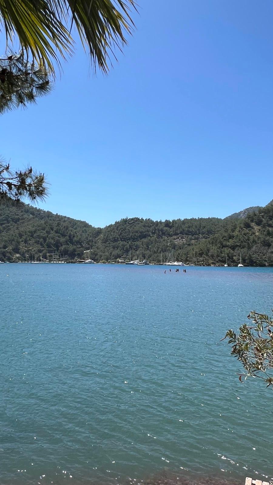 Sandee Jesus Beach