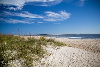 Sandee - Caswell Beach