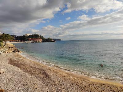 Sandee - Plaja Gratuito Splendida A Montecarlo