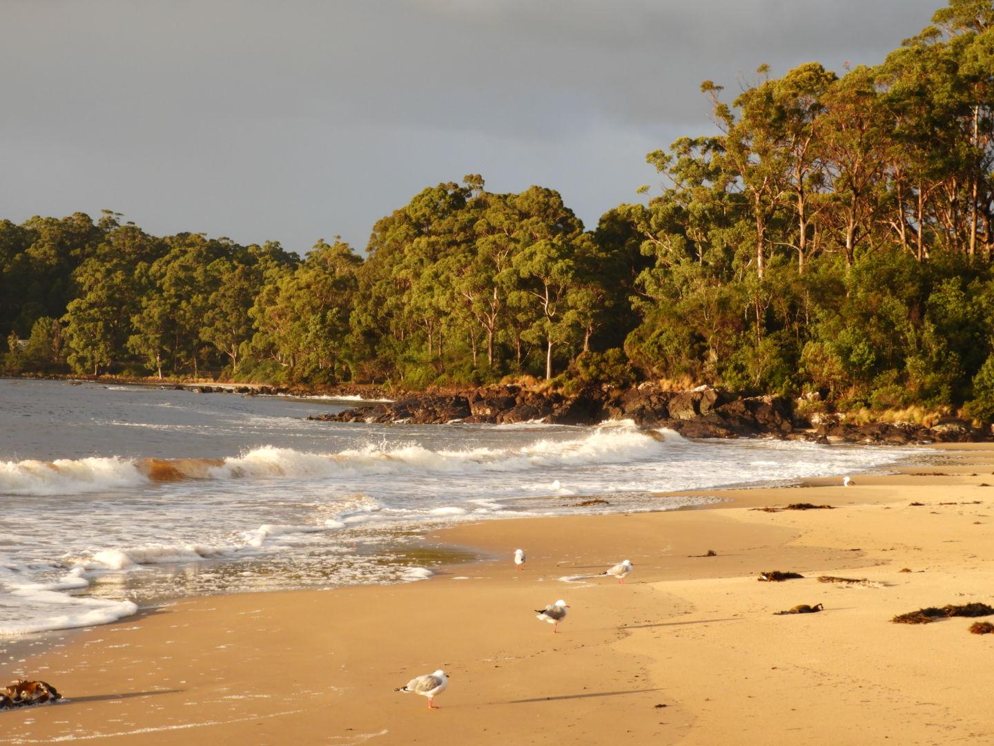 Sandee Gillams Beach
