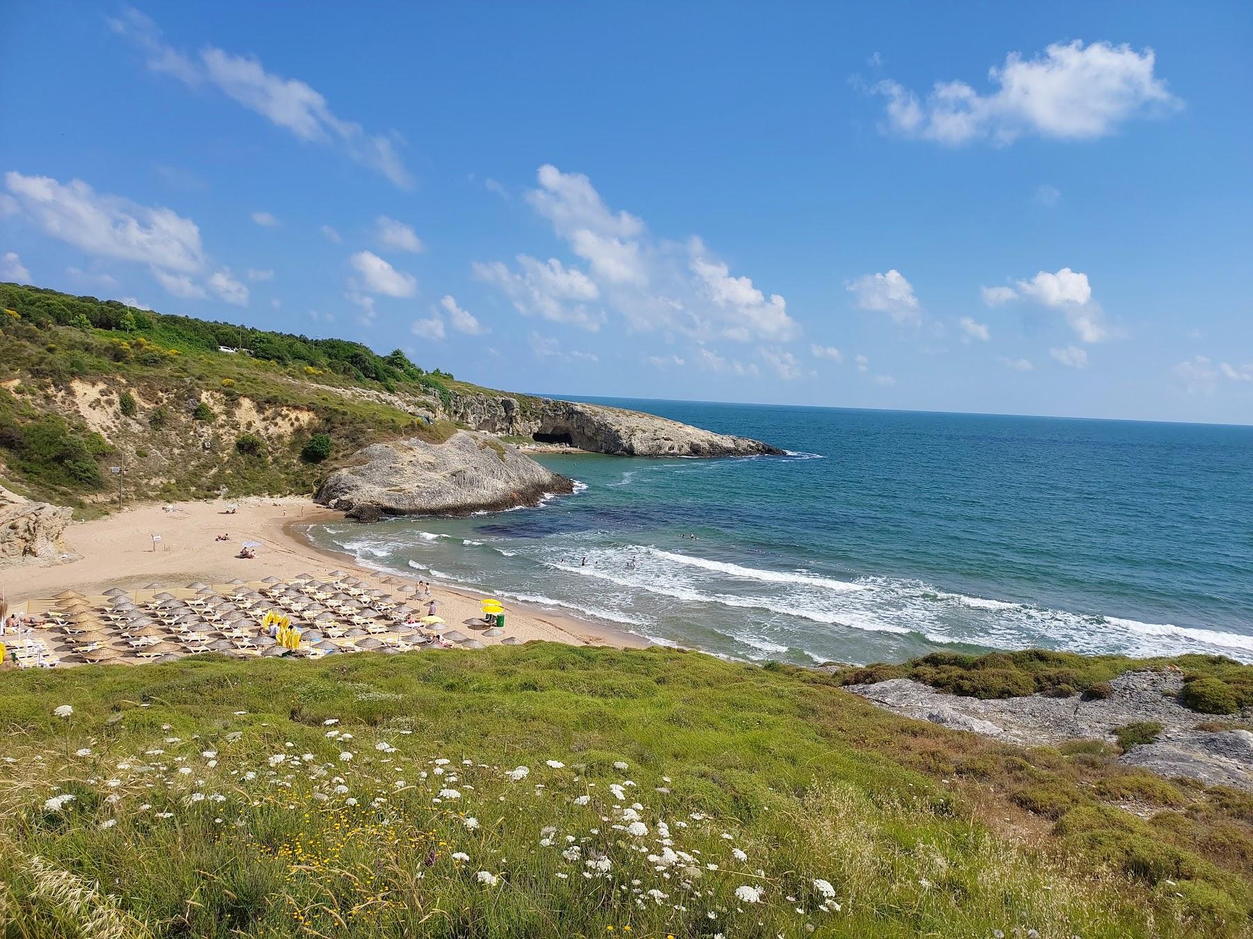 Sandee Aglayankaya Beach Photo