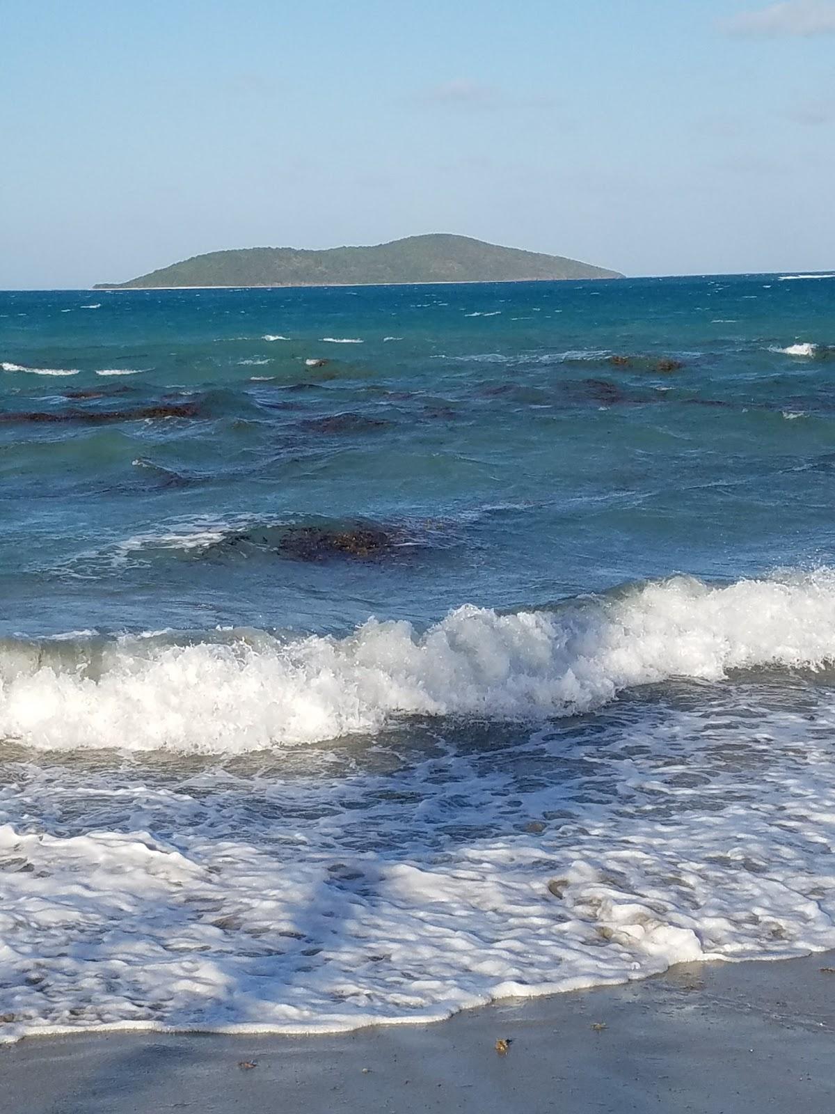 Sandee Prune Bay