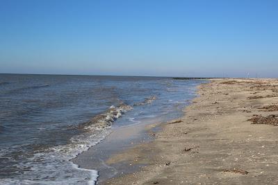 Sandee - Rutherford Beach