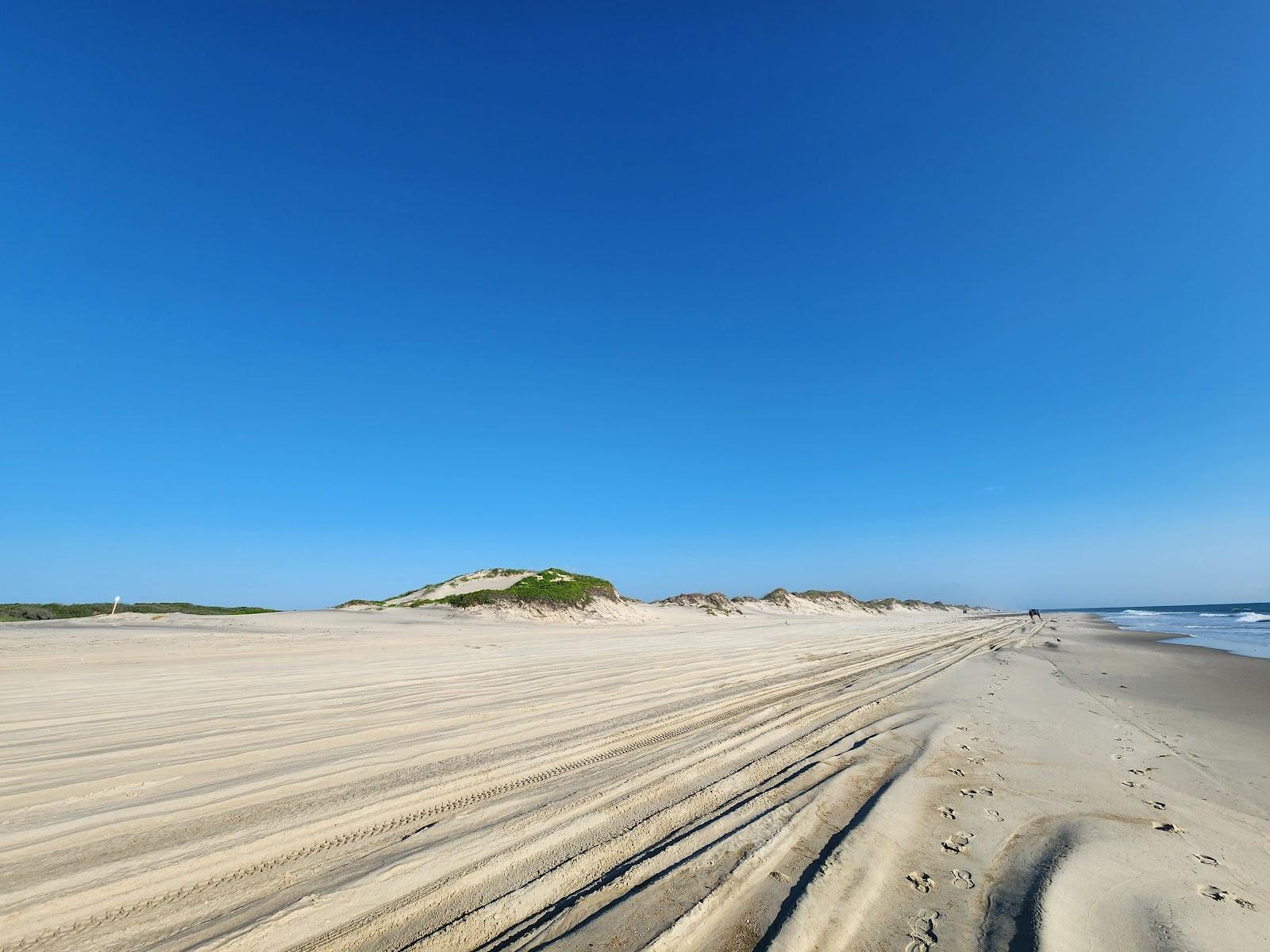 Sandee Currituck Outer Banks Preserve Dedicated Nature Preserve