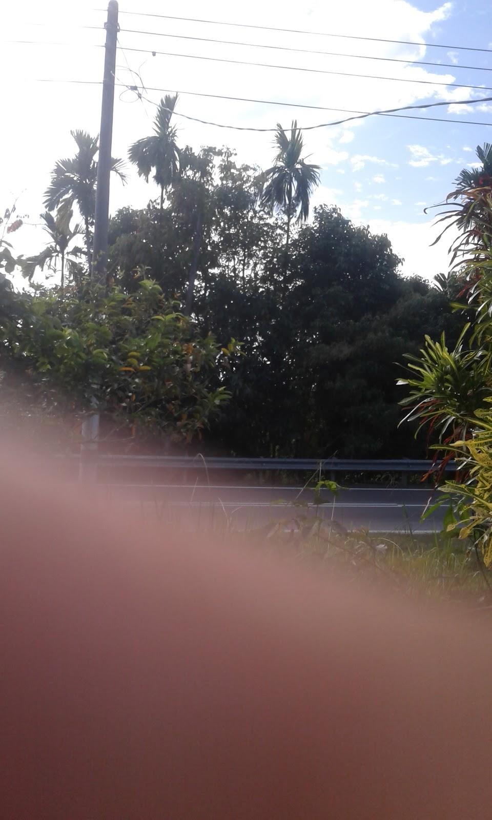 Sandee - HomePage / Endau