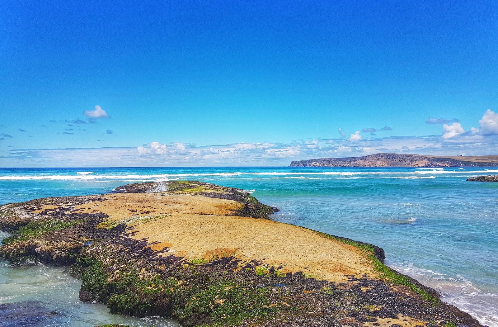 Sandee Shelly Beach Photo