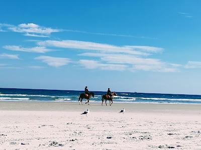 Sandee - Butler Beach