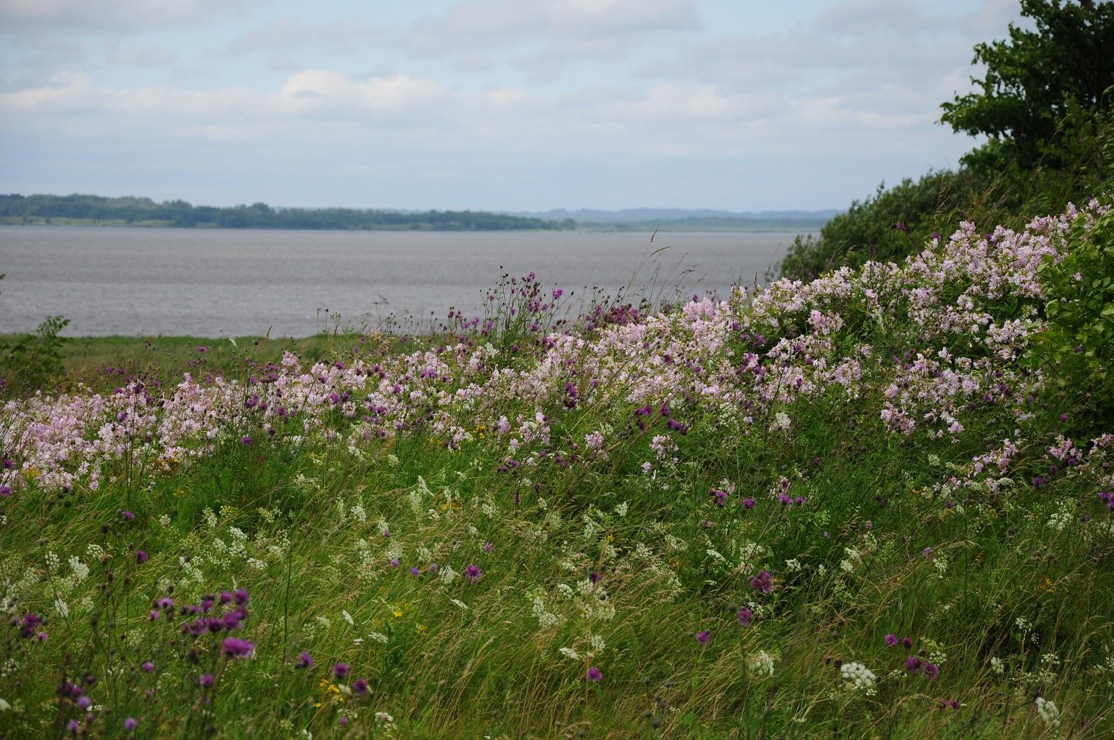 Sandee - Lake Osveya