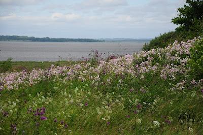 Sandee - Lake Osveya