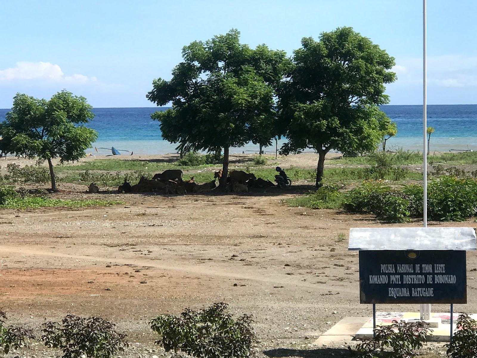 Sandee Tanjung Babia Beach