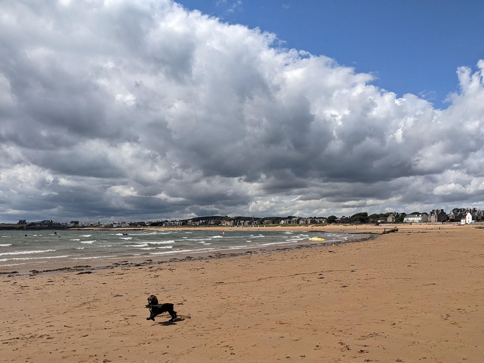 Sandee St. Elie Beach Photo