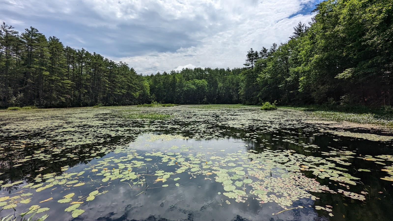 Sandee - Greenfield State Park