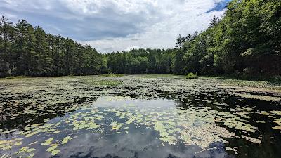 Sandee - Greenfield State Park