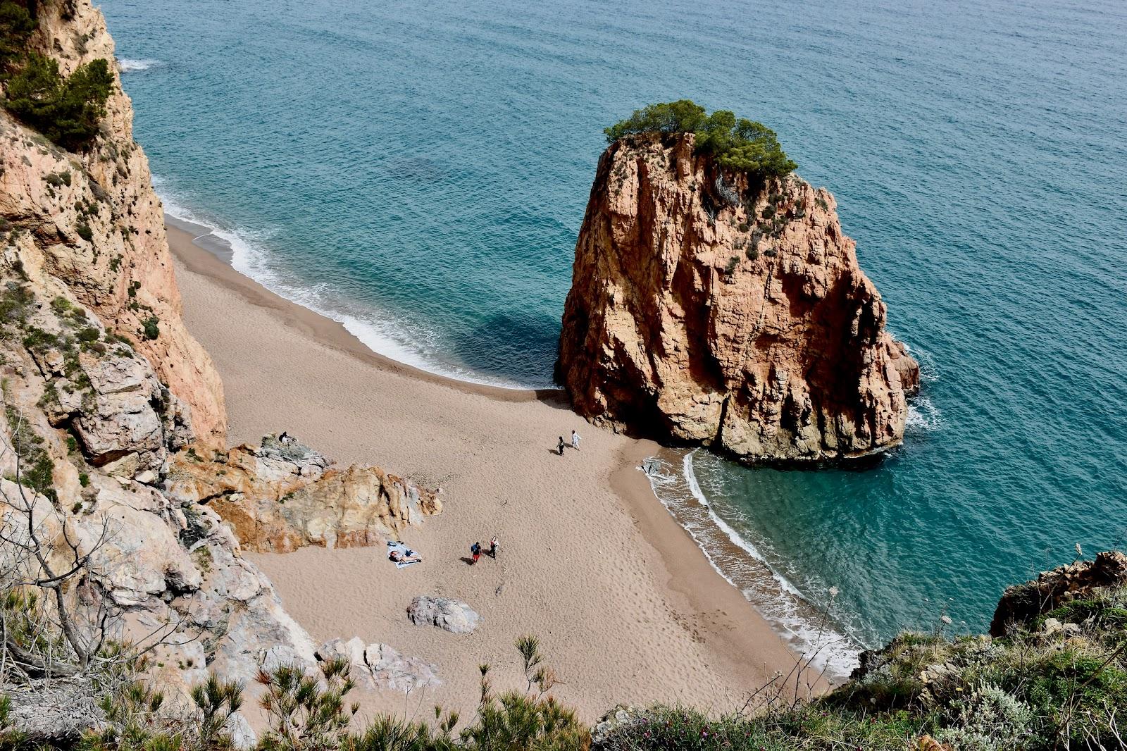 Sandee Beach De L'Illa Roja