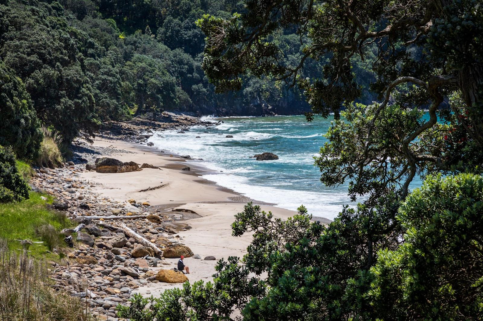 Sandee Homunga Bay Beach