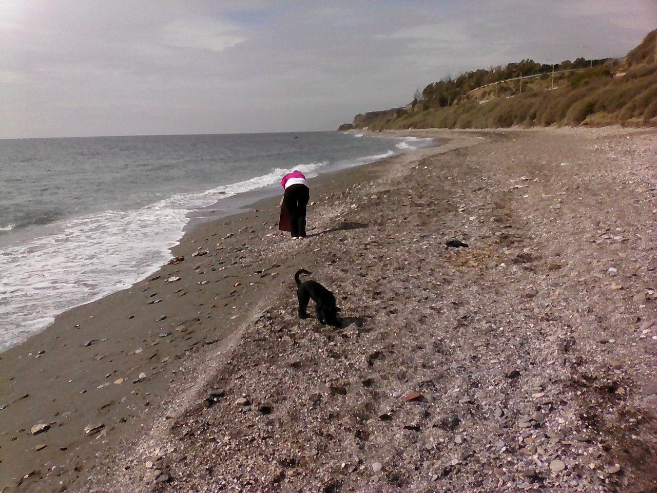 Sandee - La Caracola / Playa Bolanos