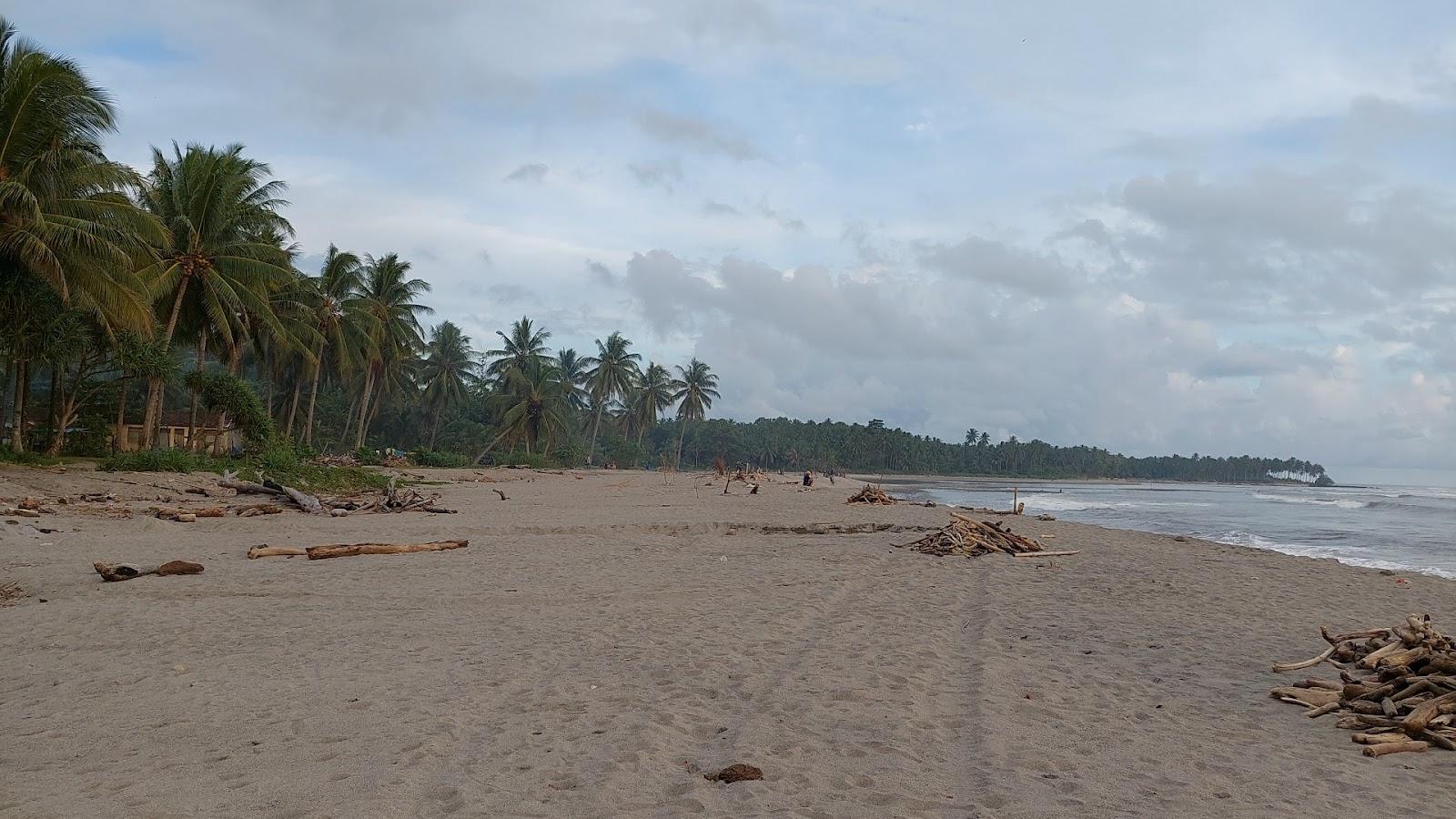 Sandee Penyandingan Estuary Beach Photo