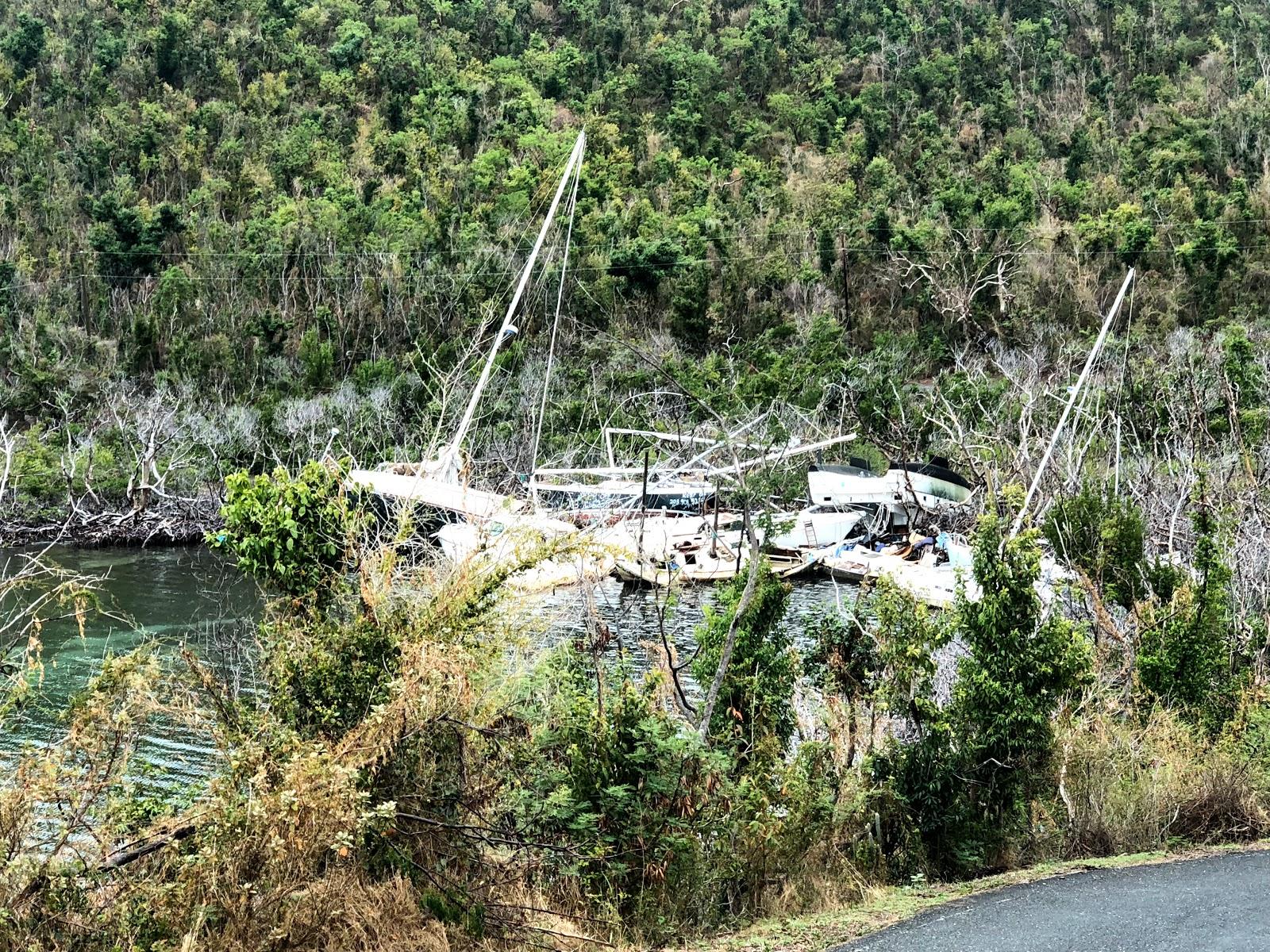 Sandee Princess Bay