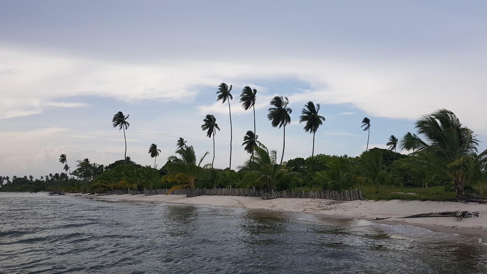 Sandee - Praia Da Ponta Do Curral