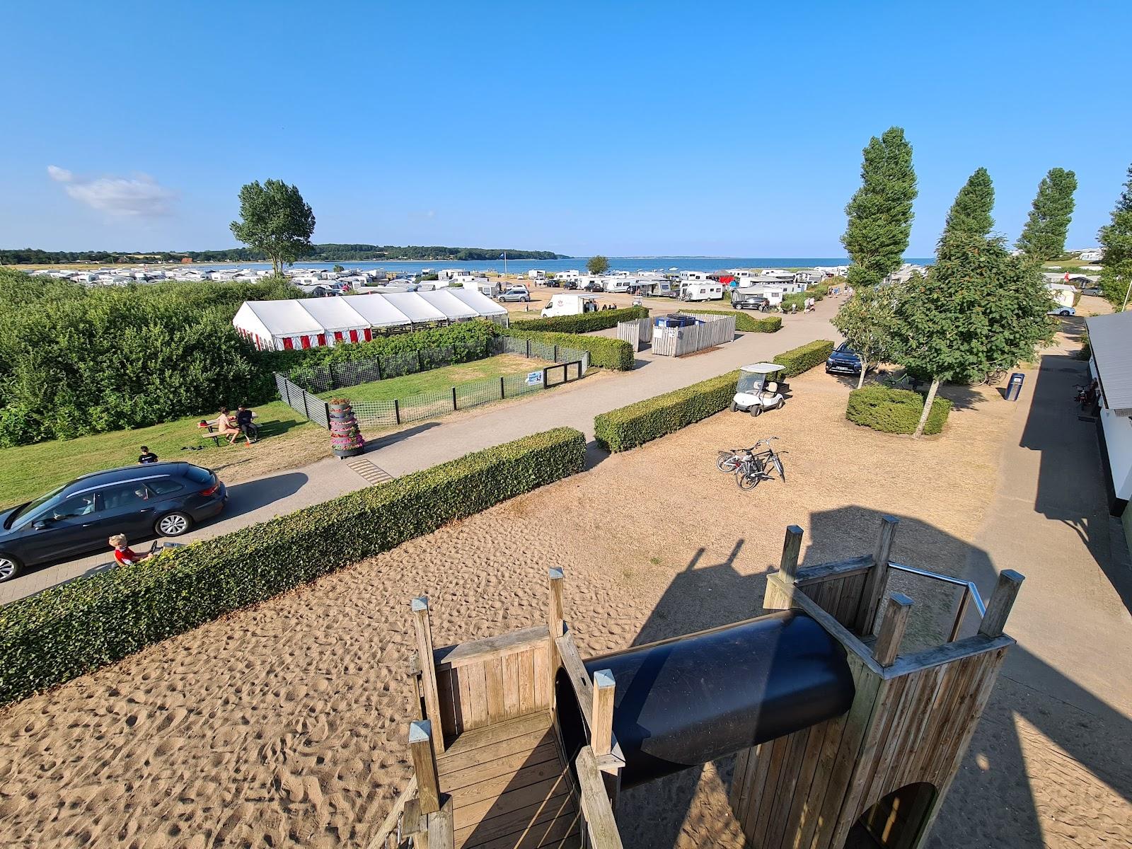 Sandee - HomePage / Haderslev