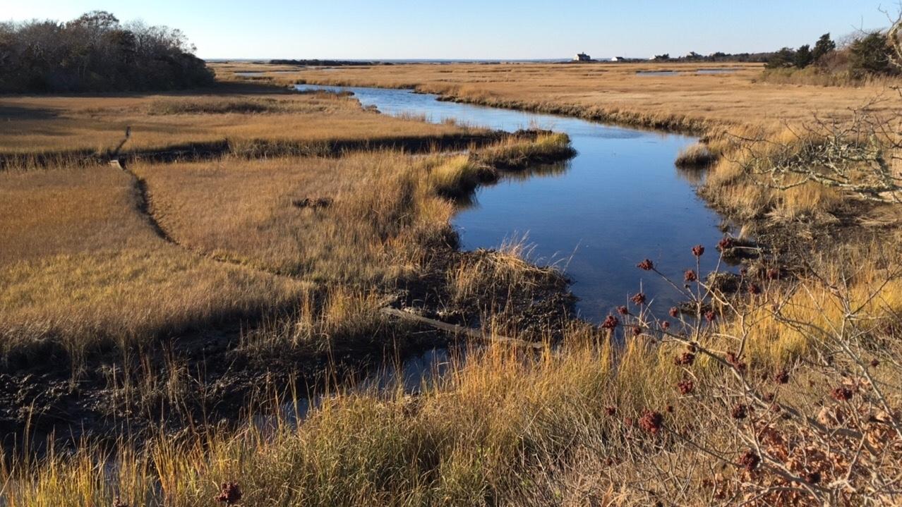 Sandee - Great Sippewissett Marsh