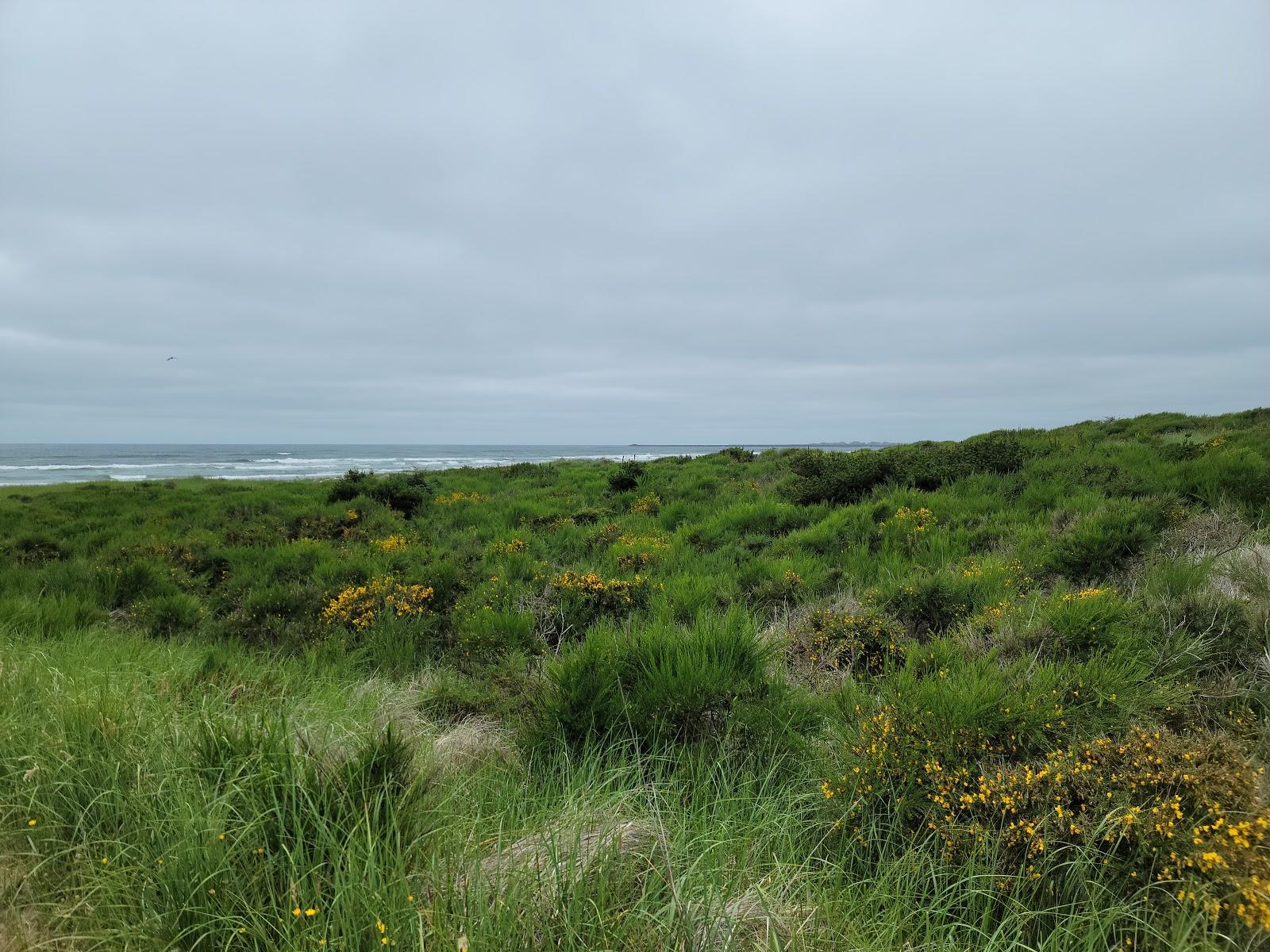 Sandee - Westport Light State Park