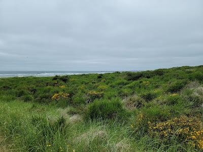 Sandee - Westport Light State Park