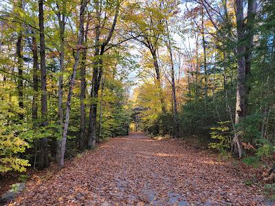 Sandee - Ahern State Park