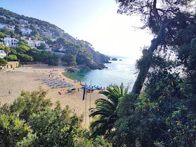 Sandee - Platja De Cal Francesc