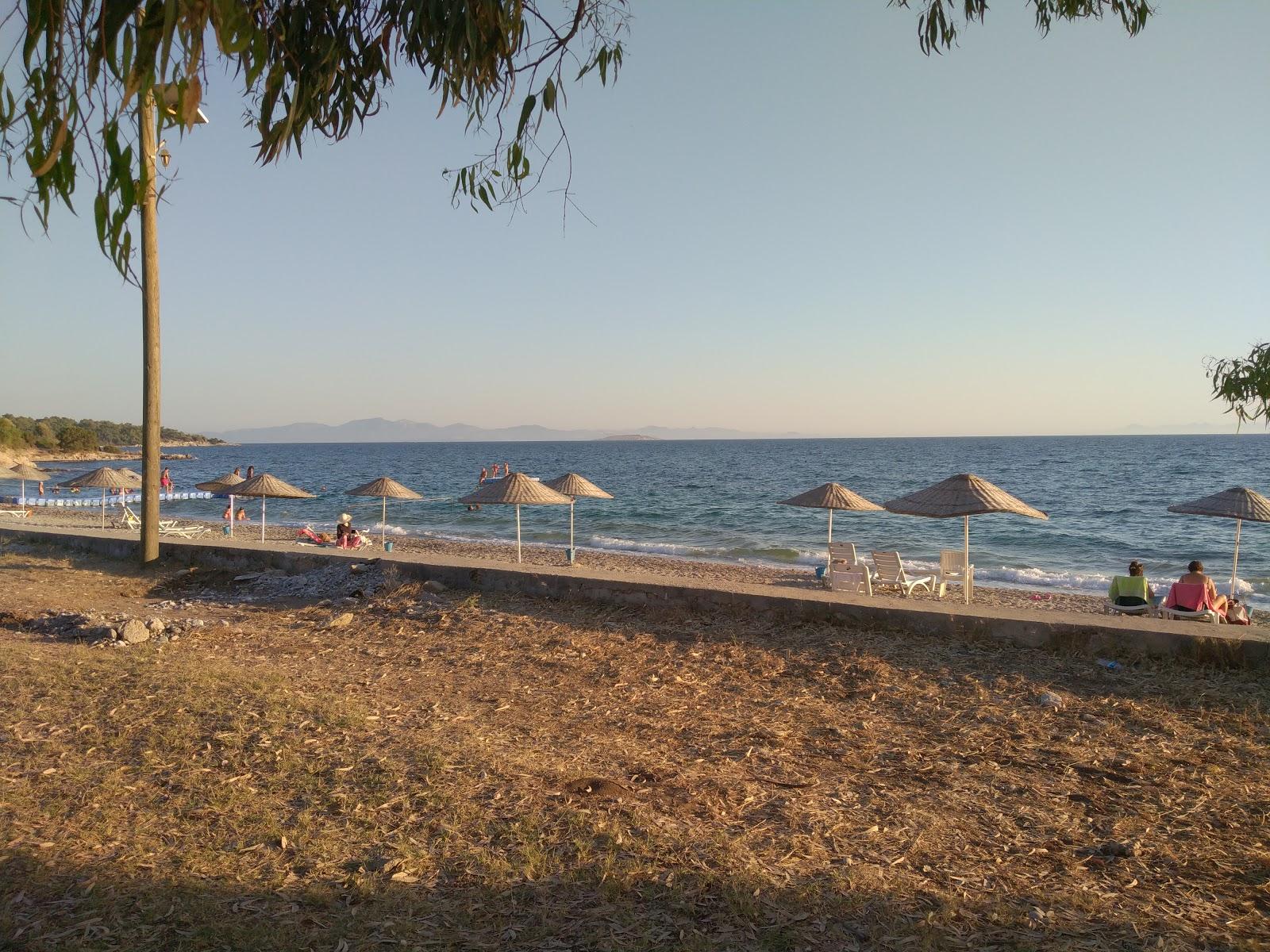 Sandee Lalekent Sahil Cafe Beach Photo