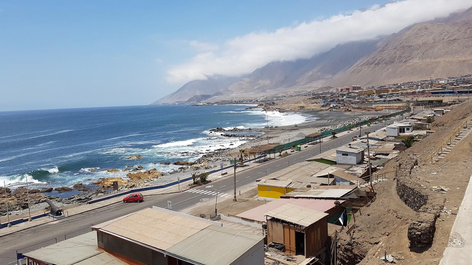 Sandee Playa Brava