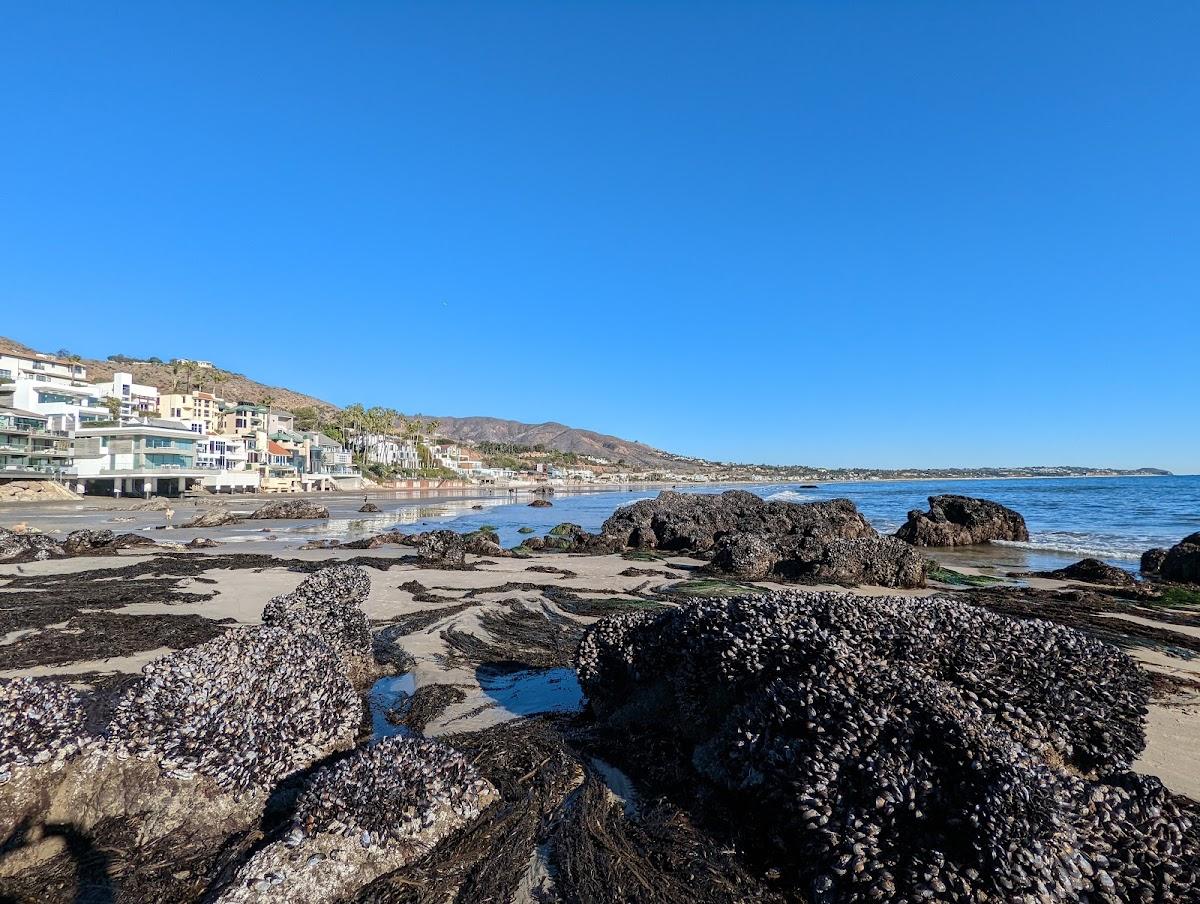 Sandee Broad Street Beach Photo