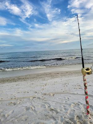 Sandee - Telescope Beach