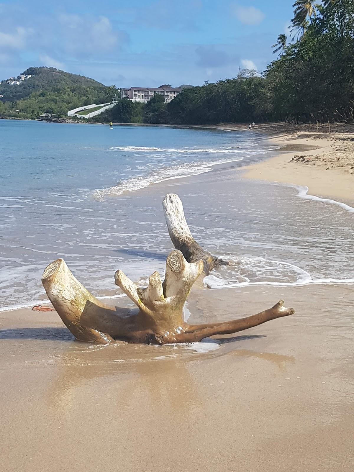 Sandee Choc Bay