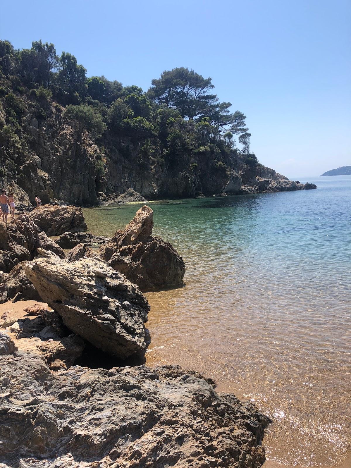 Sandee Arkos Beach