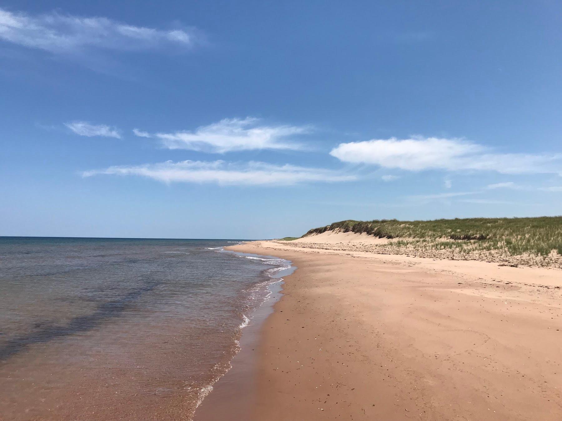 Sandee Blooming Point Beach