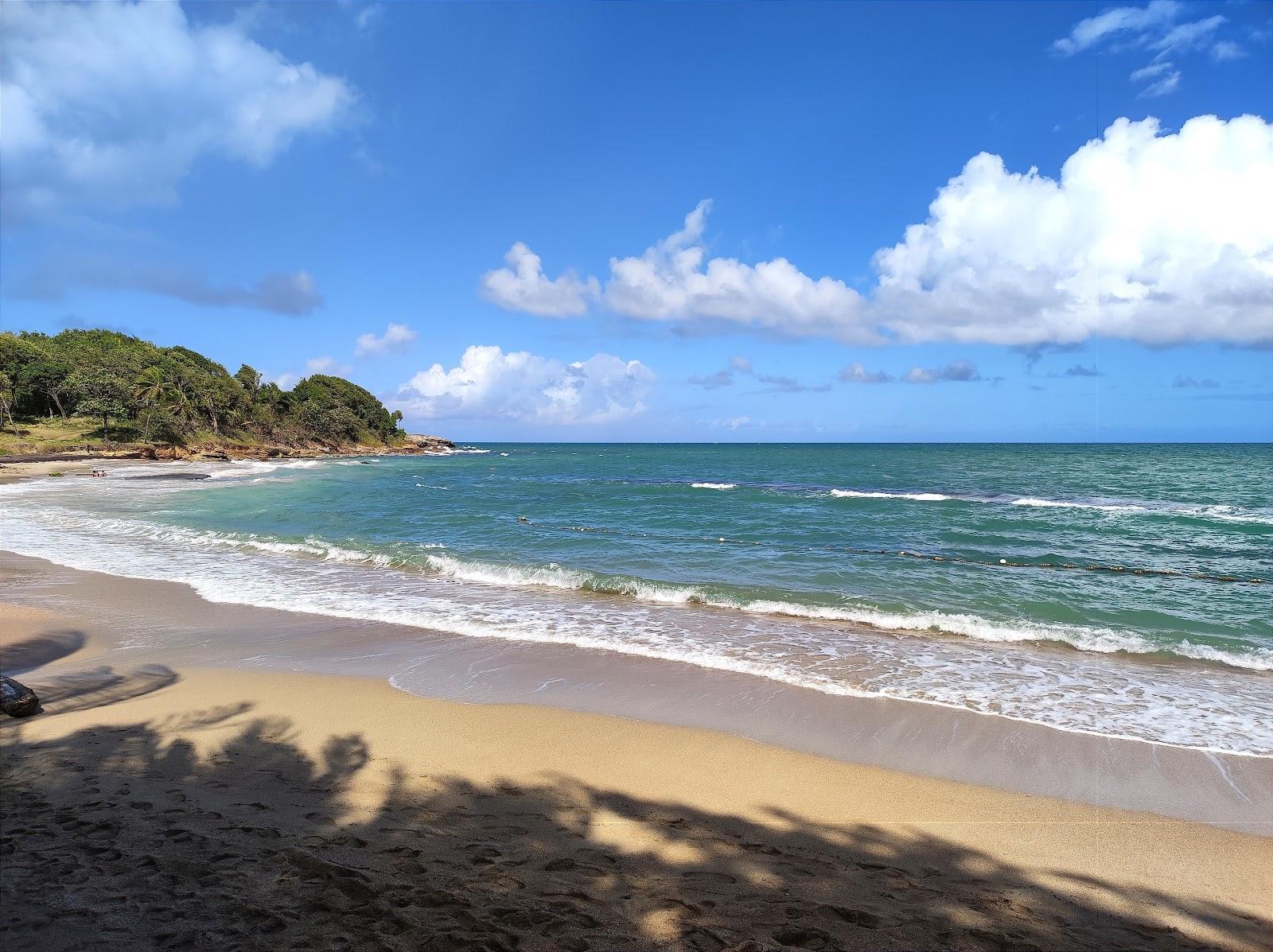 Sandee Plage De Nogent