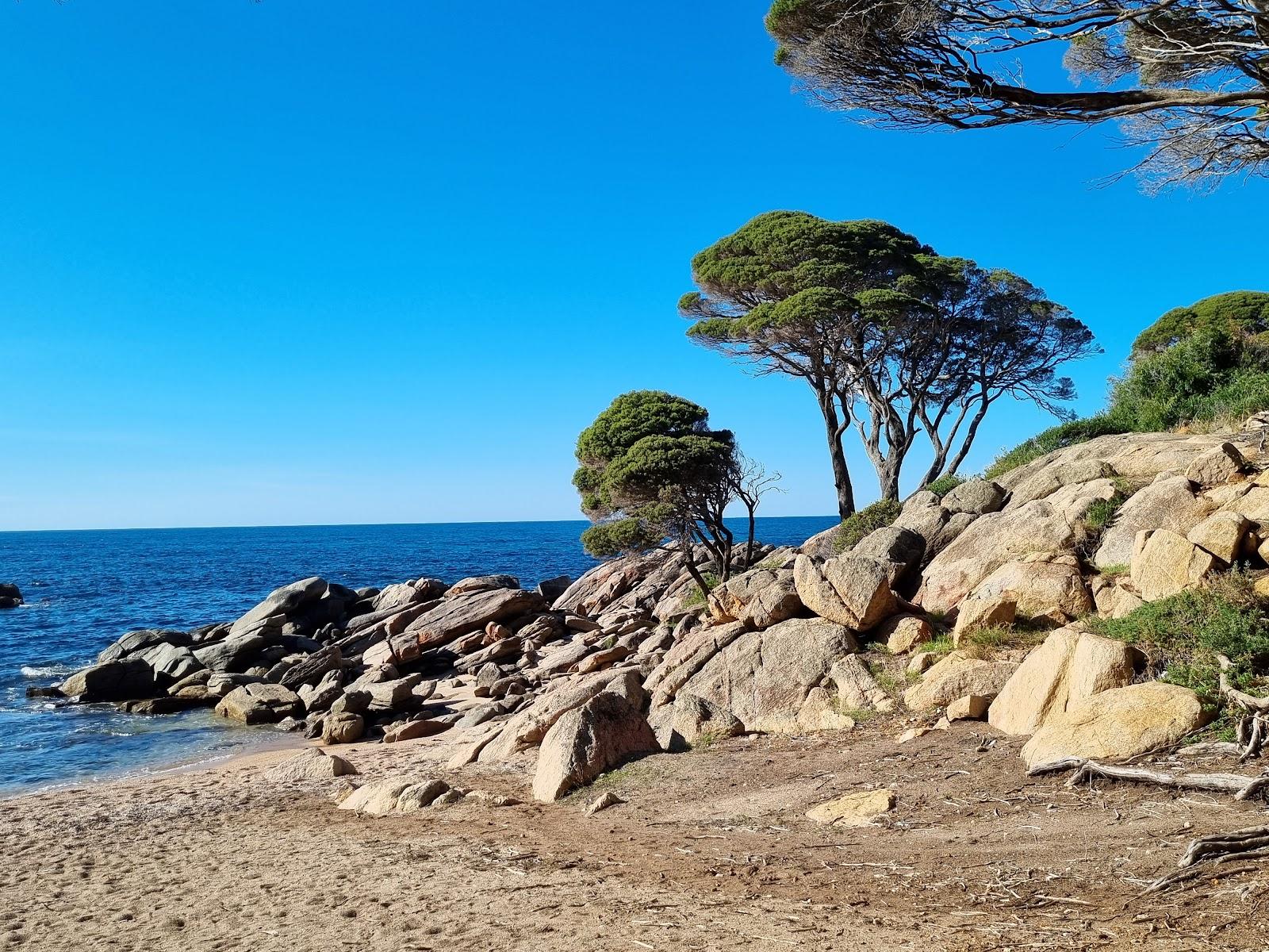 Sandee Shelley Cove