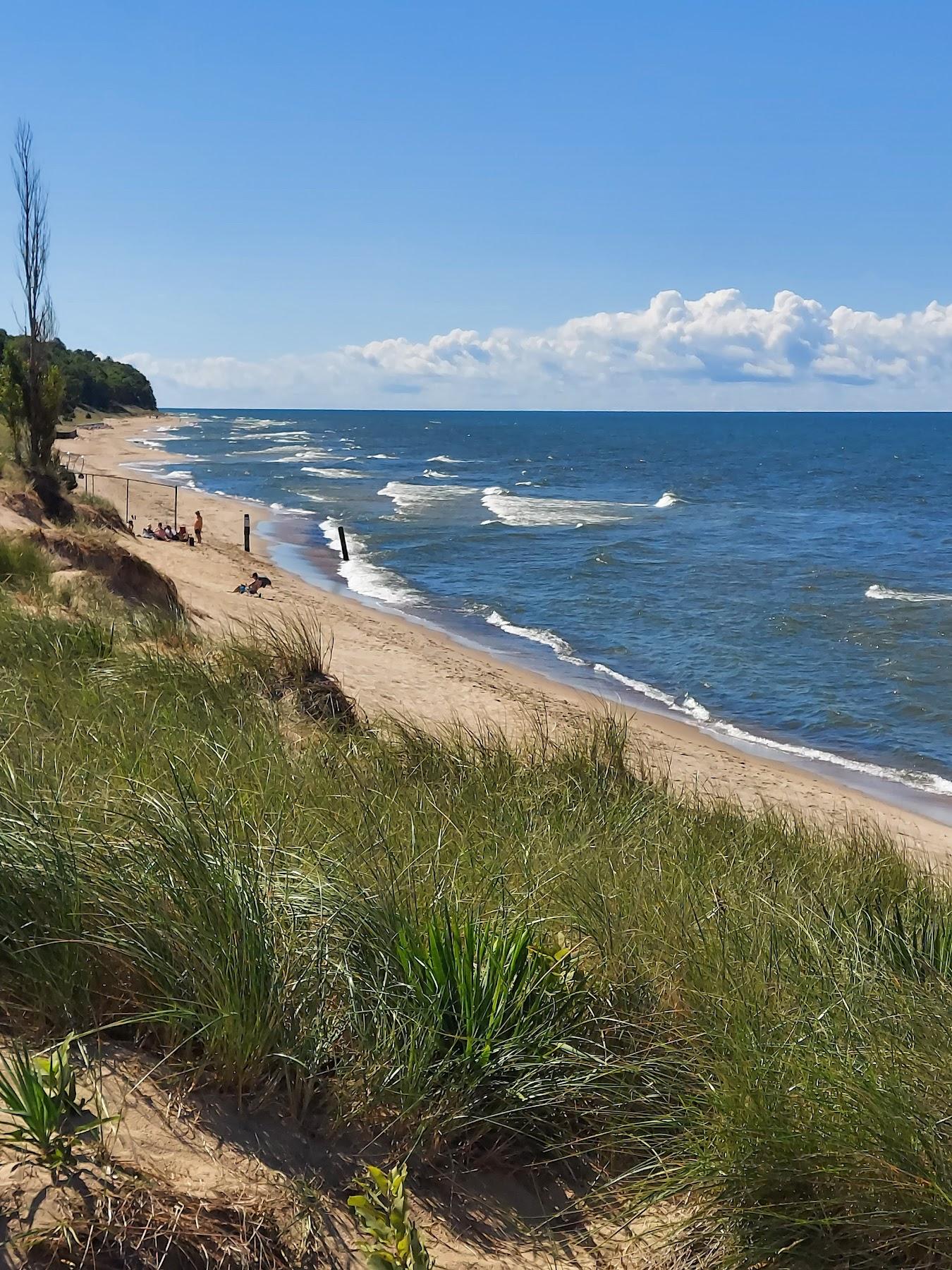 Sandee Oval Beach Photo