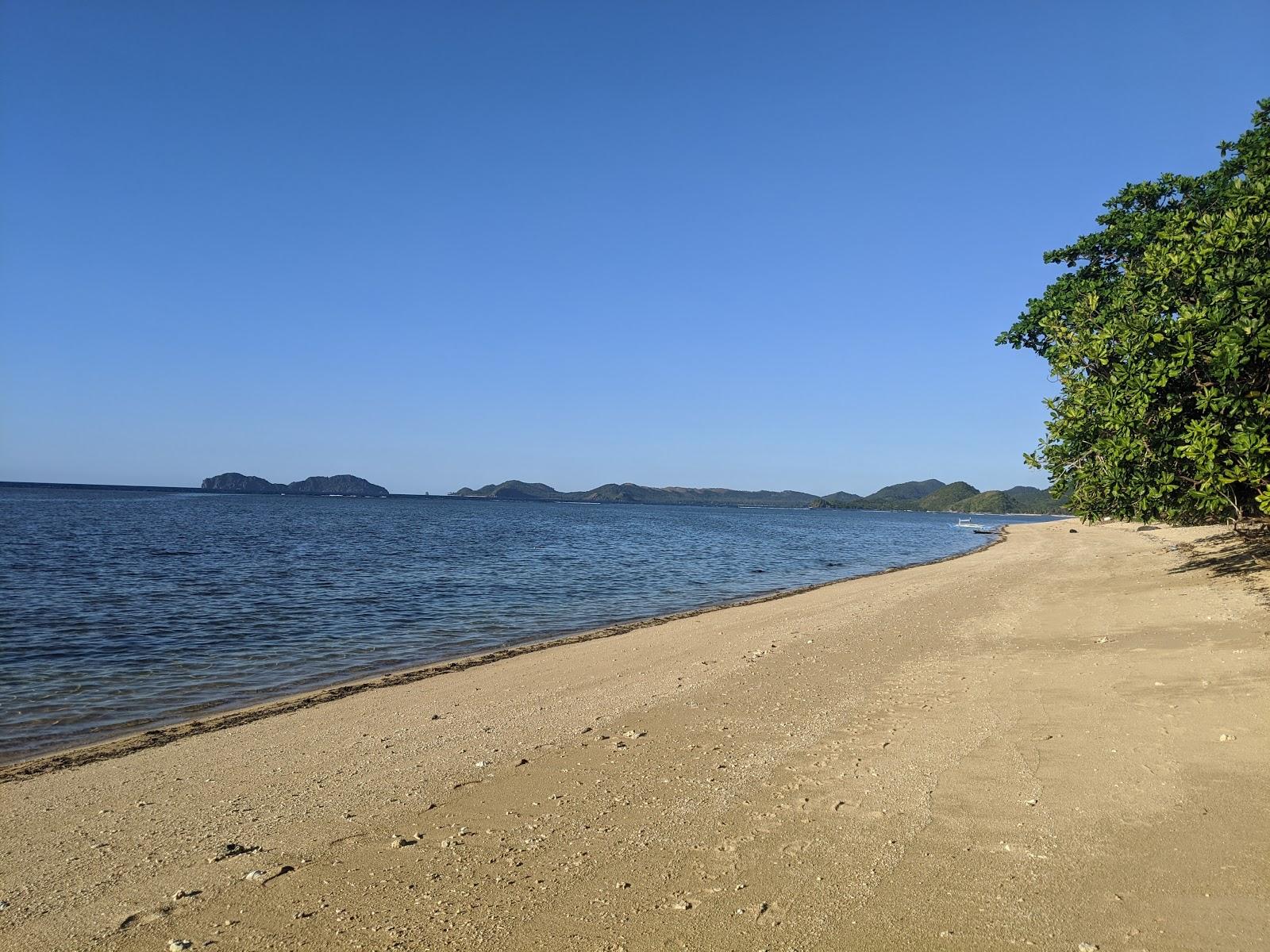 Sandee Cambaya Beach